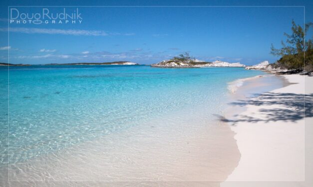 Seas The Day