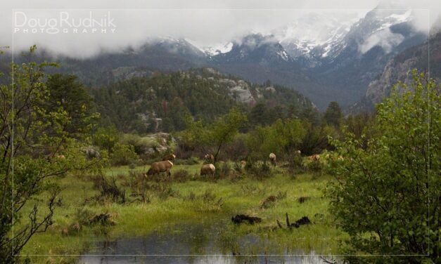 Moraine Majesty