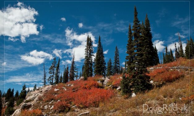 Dance on Mountains