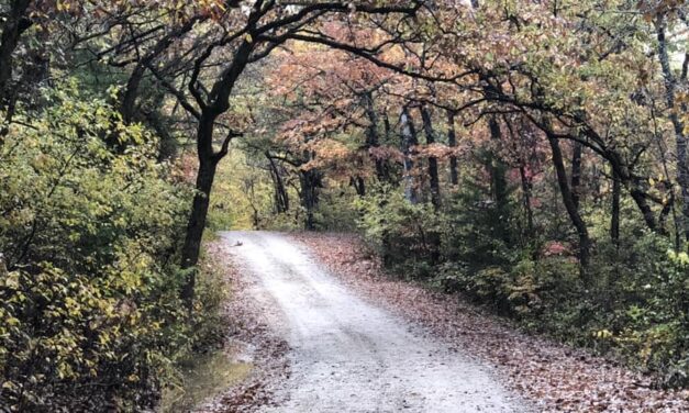 Call of the Trail