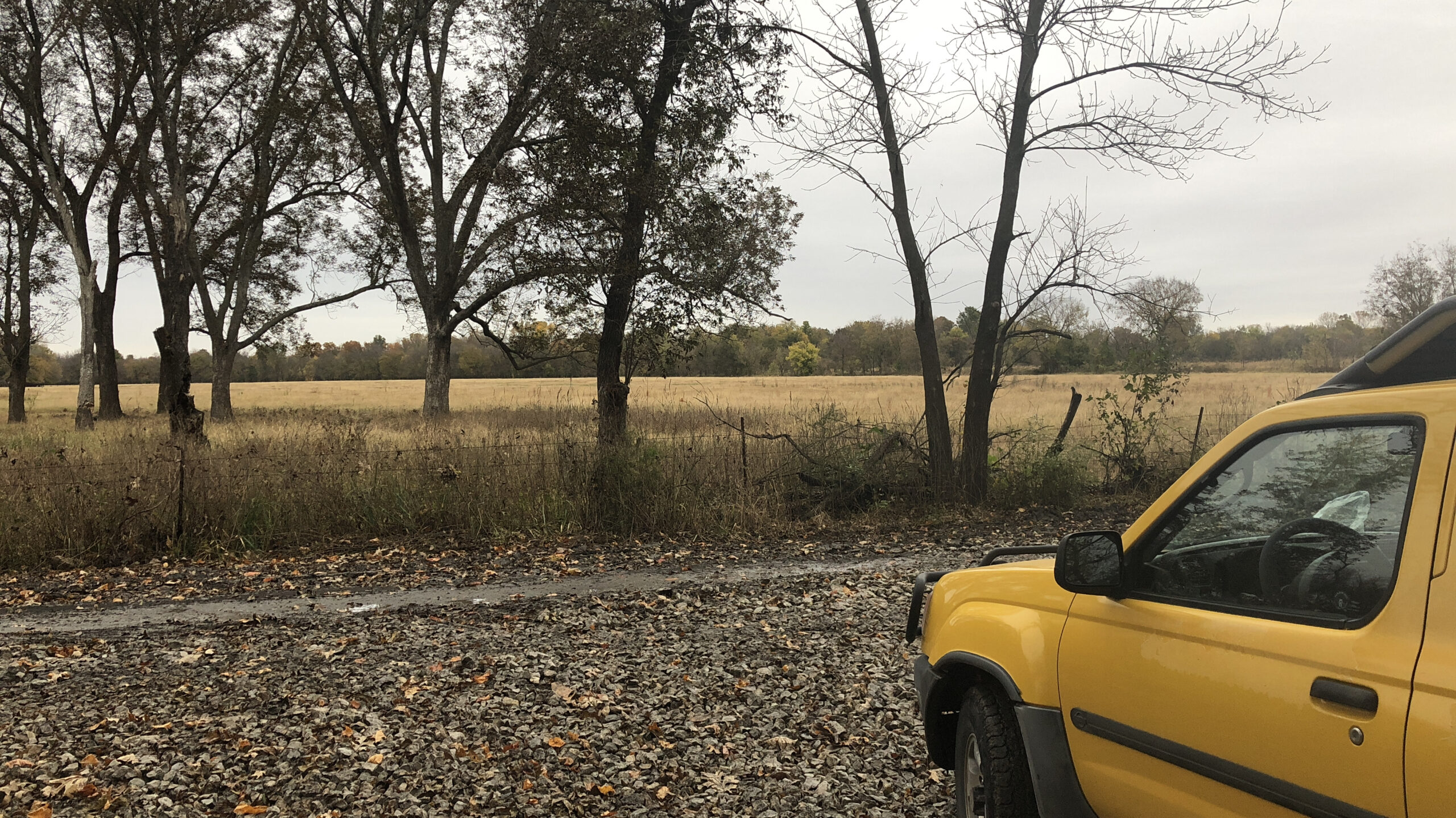 Ark Trip, Day 3