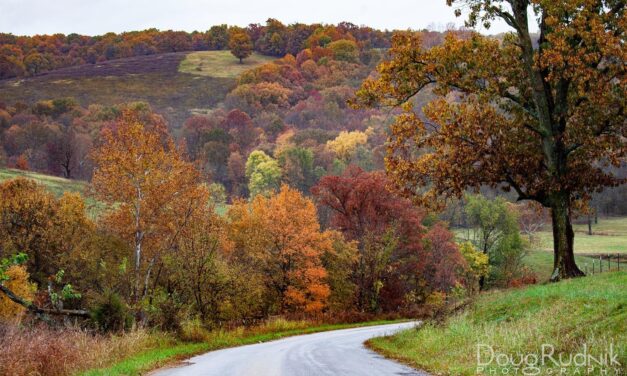 Missouri Fall