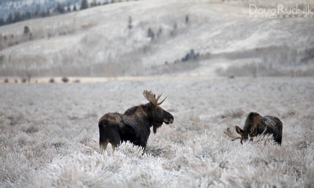 Na”moos”te